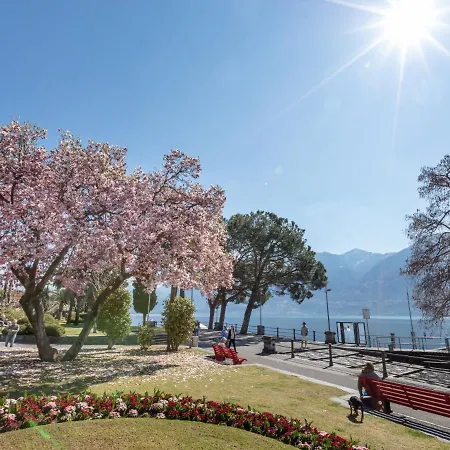 Residenza Moro By Interhome Lägenhet Ascona